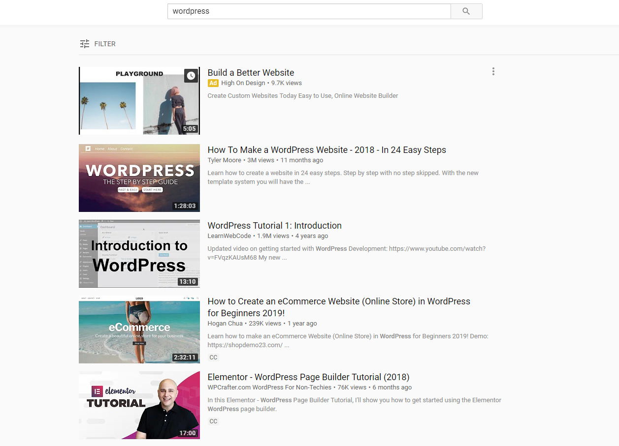 YouTube search for WordPress